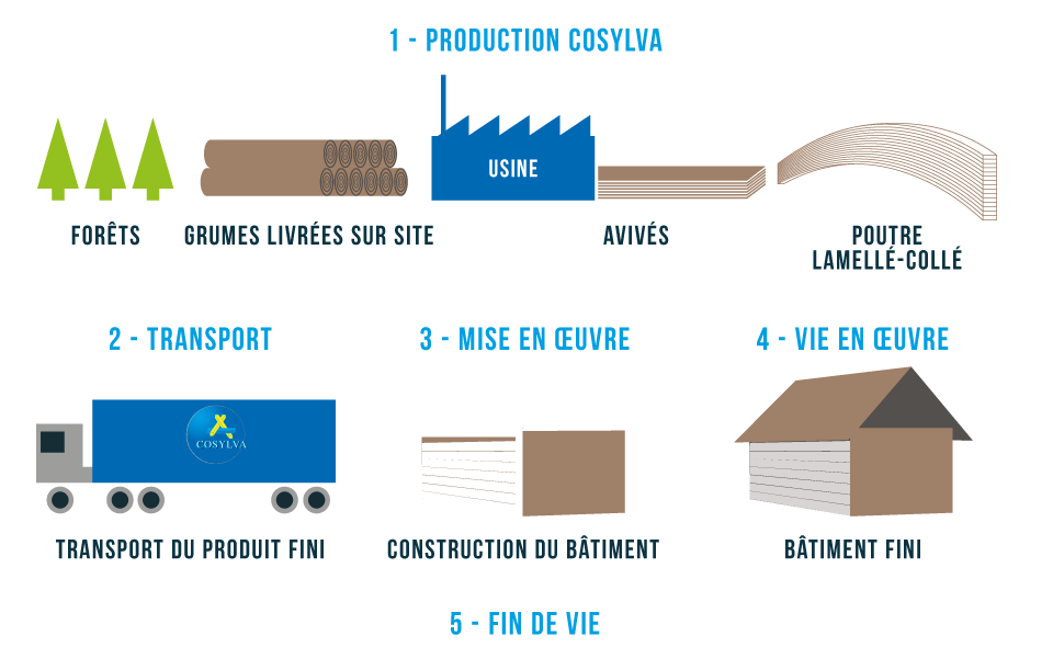 schema